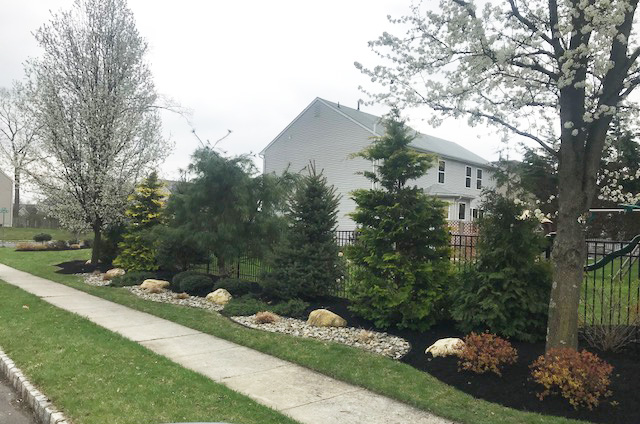 Professional Landscaping Services for South New Jersey